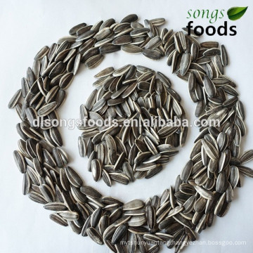 Sunflower Seeds Business Partner In Africa